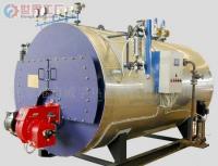 批發(fā)張家港威孚-WNS 0.15t/h燃?xì)獍l(fā)生器_機械及行業(yè)設(shè)備_世界工廠網(wǎng)中國產(chǎn)品信息庫